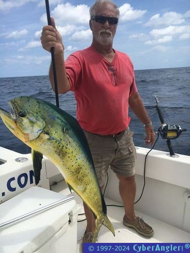 Click to Enlarge Photo