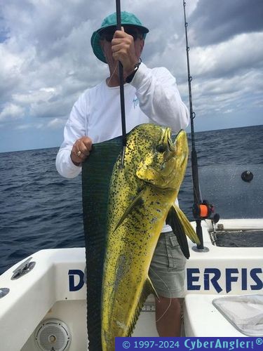 Click to Enlarge Photo