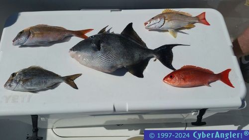 Click to Enlarge Photo