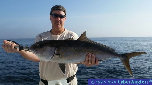 Click to Enlarge Photo