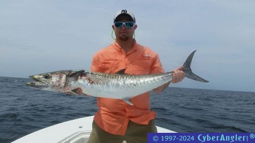 Click to Enlarge Photo