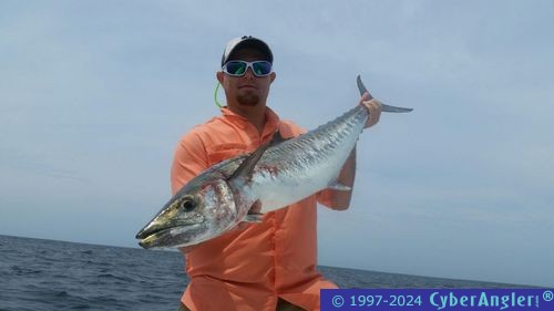 Click to Enlarge Photo