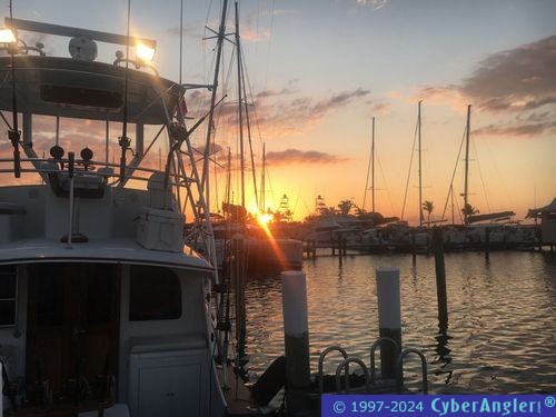 Click to Enlarge Photo