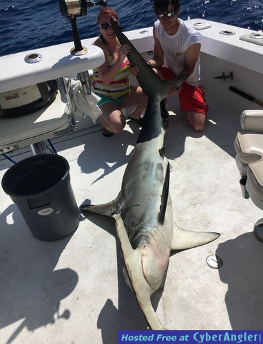 Click to Enlarge Photo