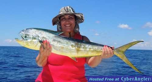 Click to Enlarge Photo