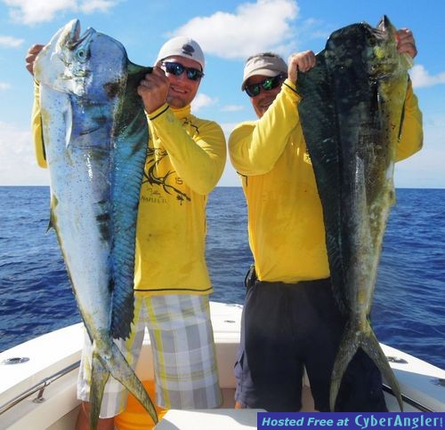 Click to Enlarge Photo