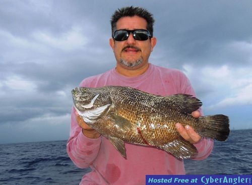 Click to Enlarge Photo