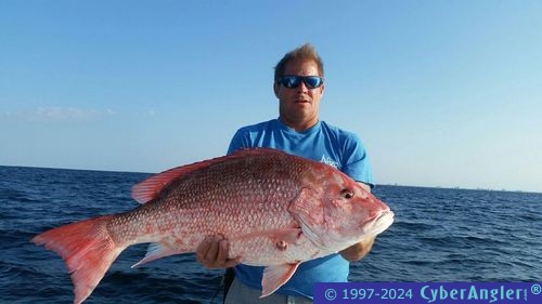 Click to Enlarge Photo