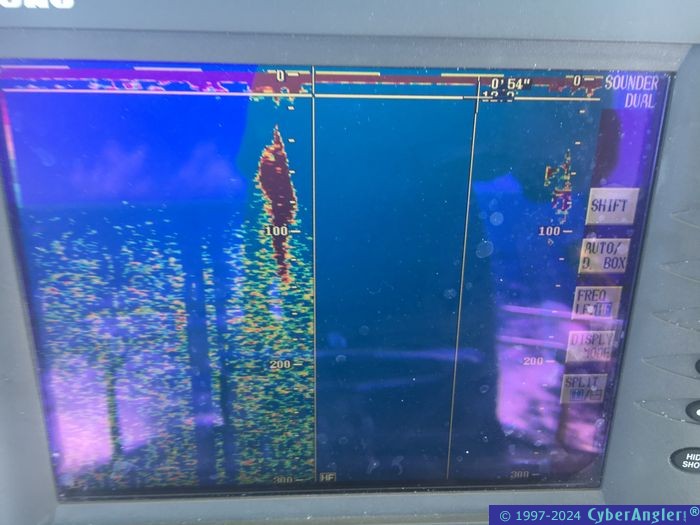 Click to Enlarge Photo