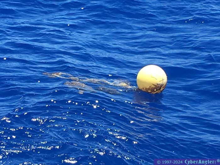 Click to Enlarge Photo