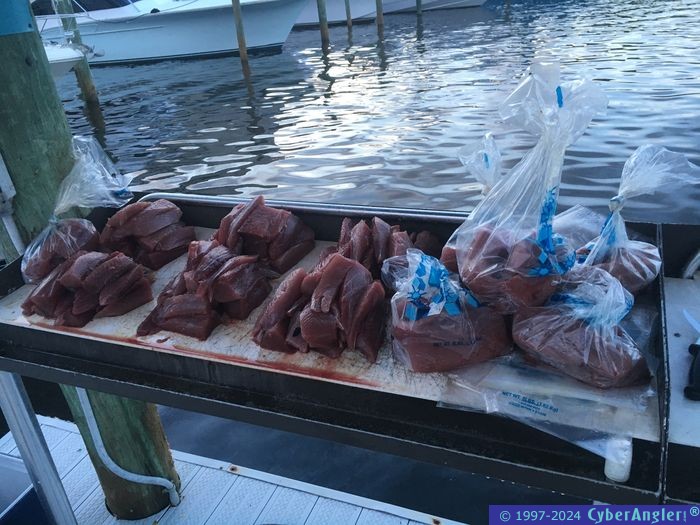 Click to Enlarge Photo