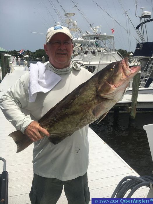 Click to Enlarge Photo