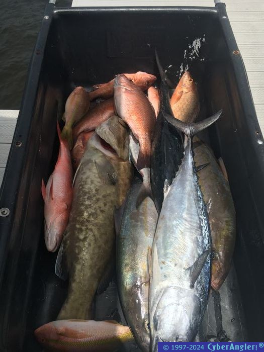 Click to Enlarge Photo