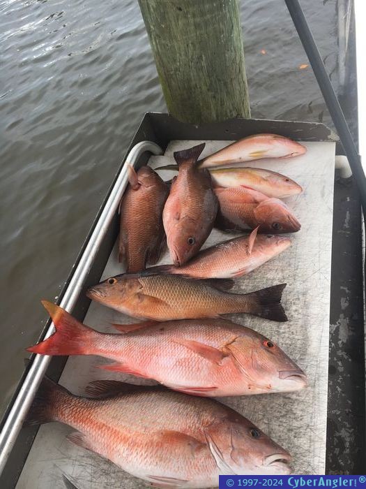 Click to Enlarge Photo