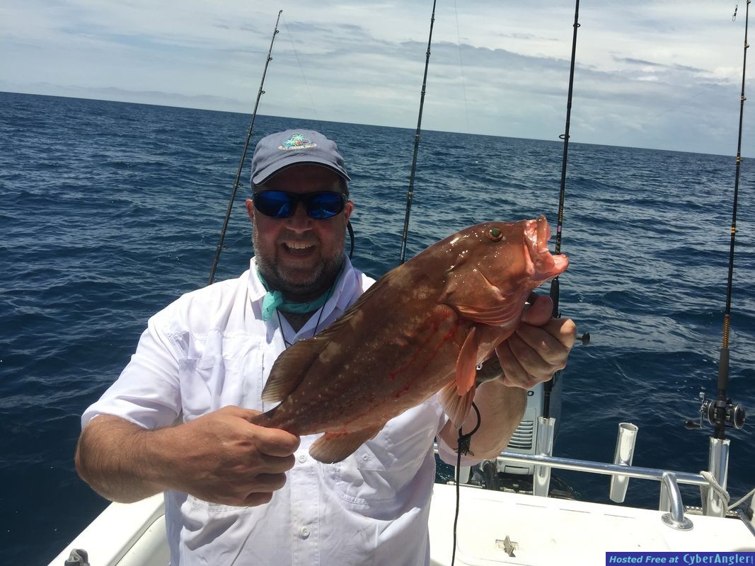 Click to Enlarge Photo