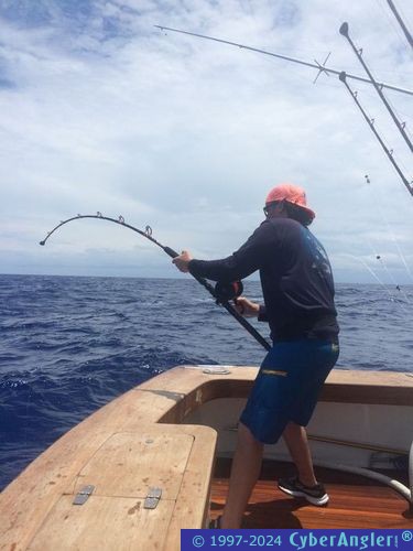 Click to Enlarge Photo