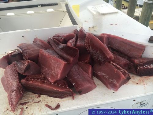 Click to Enlarge Photo