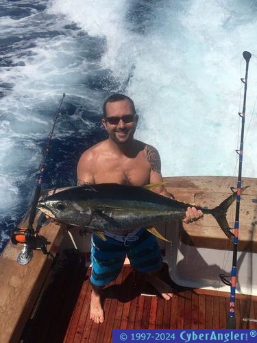 Click to Enlarge Photo