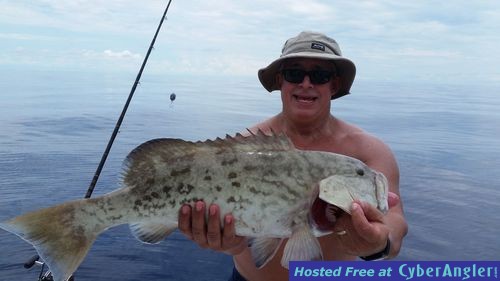 Click to Enlarge Photo