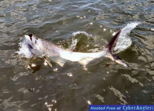 Click to Enlarge Photo