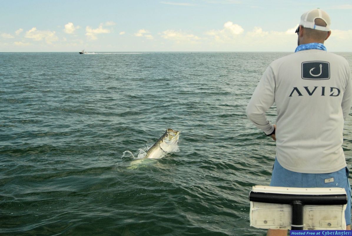 Click to Enlarge Photo