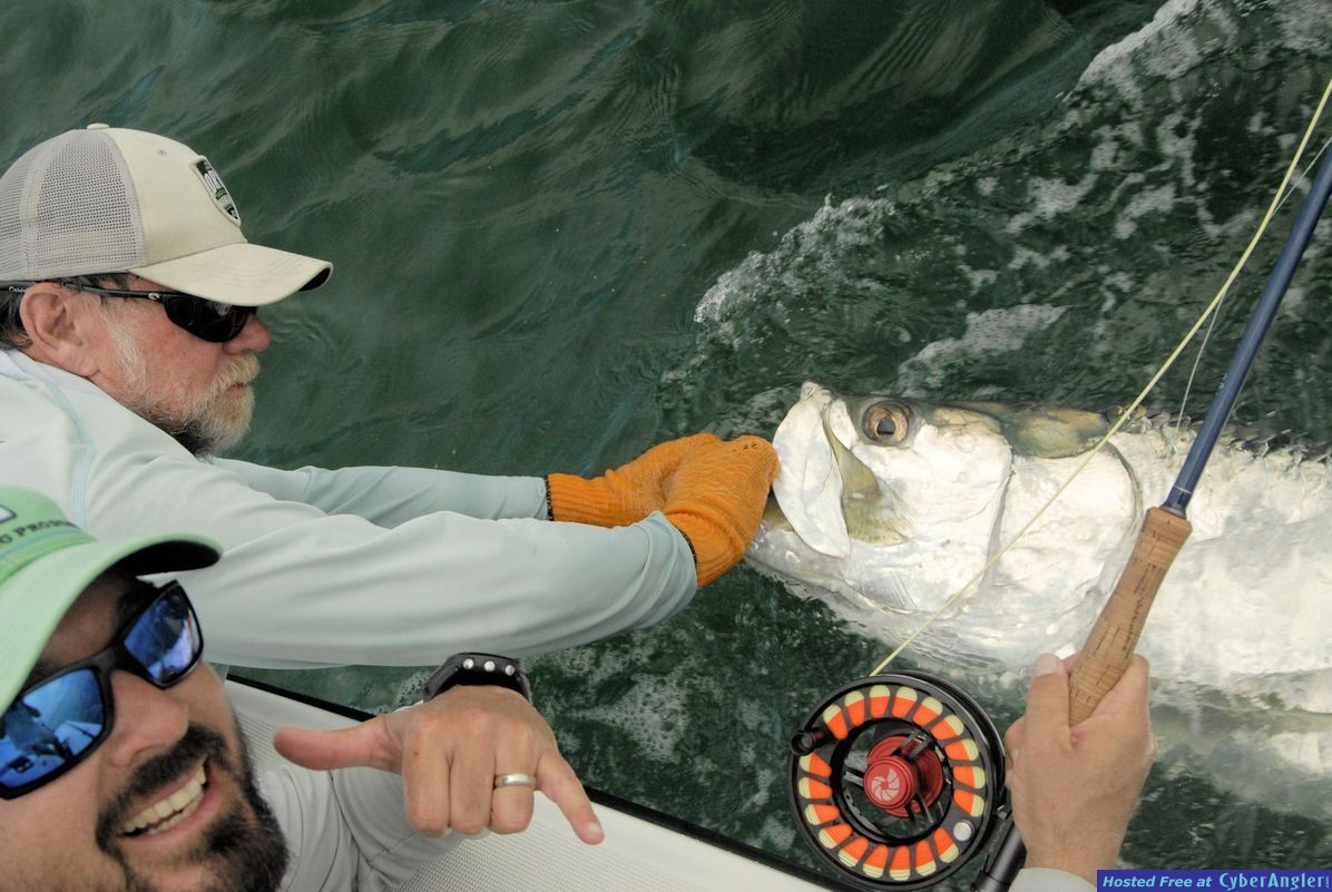 Click to Enlarge Photo