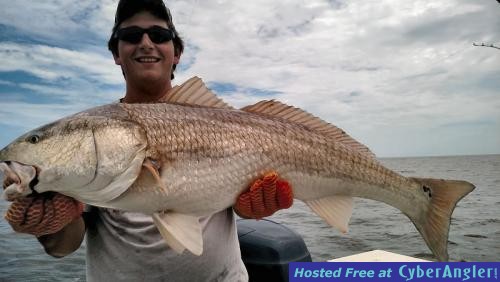 Click to Enlarge Photo