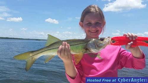 Click to Enlarge Photo