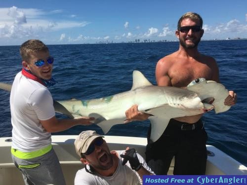 Click to Enlarge Photo