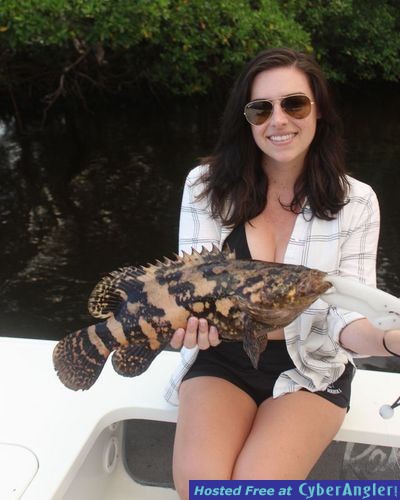 Click to Enlarge Photo