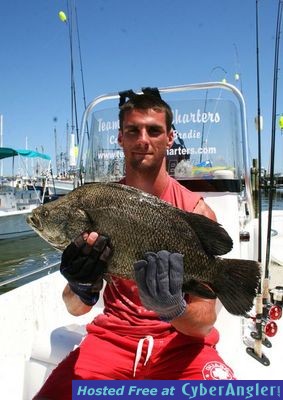 Click to Enlarge Photo