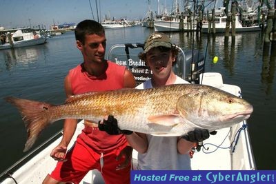 Click to Enlarge Photo