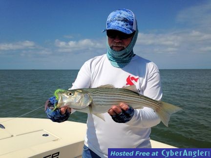 Click to Enlarge Photo