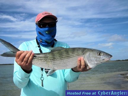 Click to Enlarge Photo