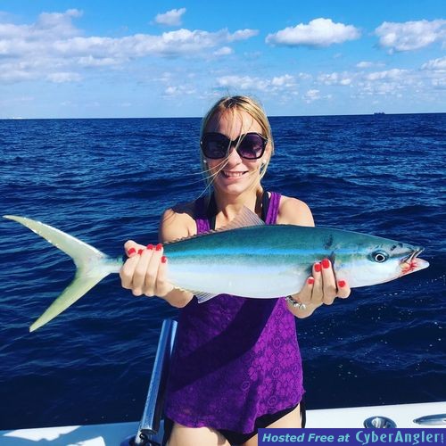 Click to Enlarge Photo