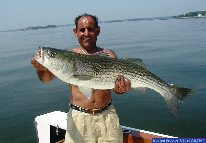 Click to Enlarge Photo