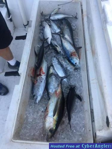 Click to Enlarge Photo