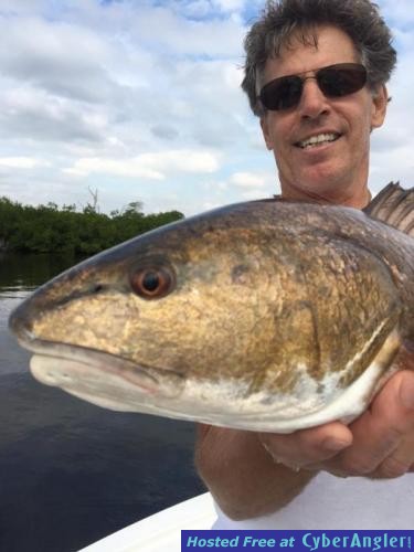 Click to Enlarge Photo