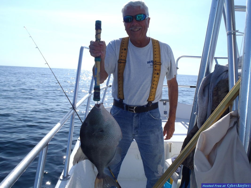 Click to Enlarge Photo