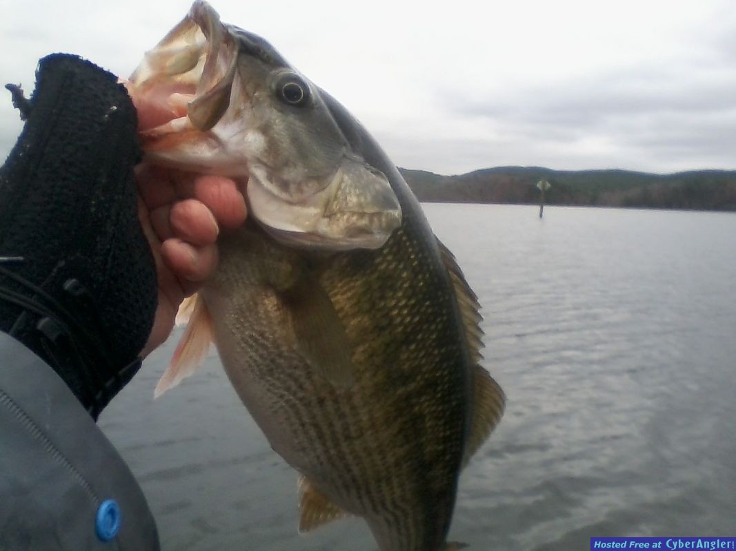 Click to Enlarge Photo