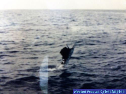 Click to Enlarge Photo