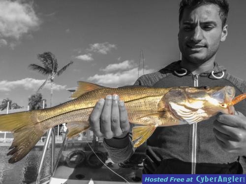 Click to Enlarge Photo