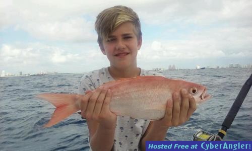 Click to Enlarge Photo