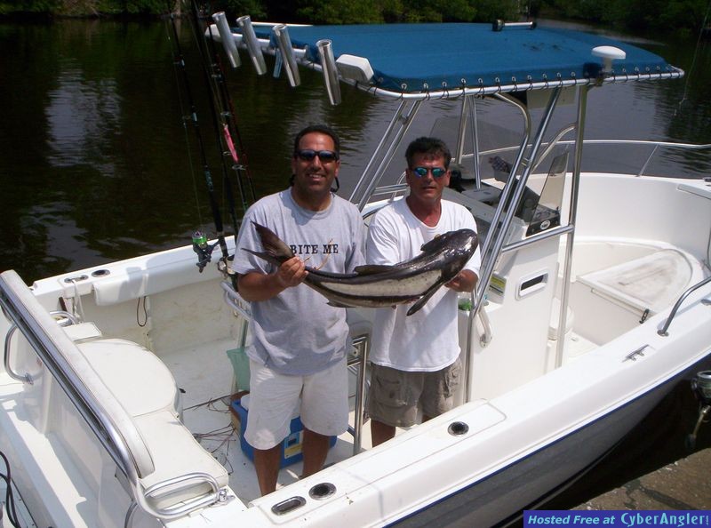 Click to Enlarge Photo