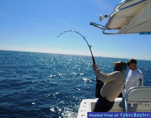 Click to Enlarge Photo