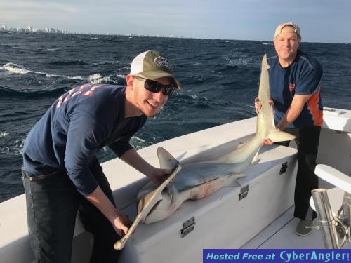 Click to Enlarge Photo