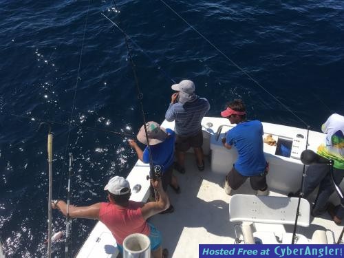 Click to Enlarge Photo