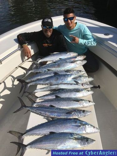 Click to Enlarge Photo