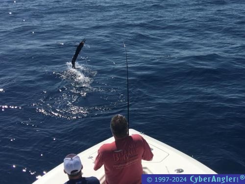 Click to Enlarge Photo