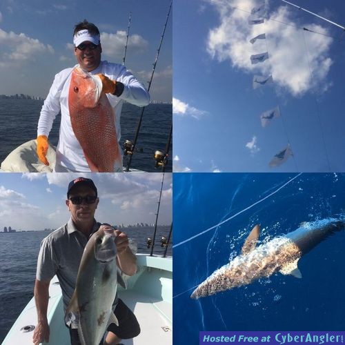 Click to Enlarge Photo